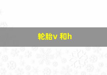 轮胎v 和h